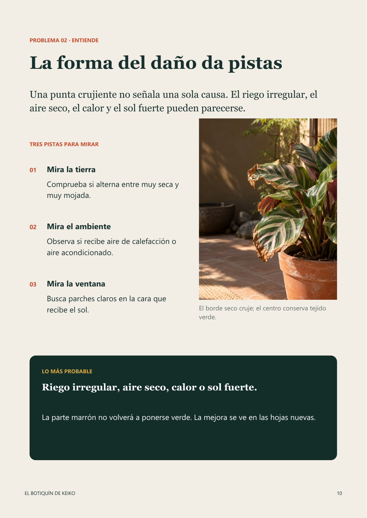 Página real del índice del ebook