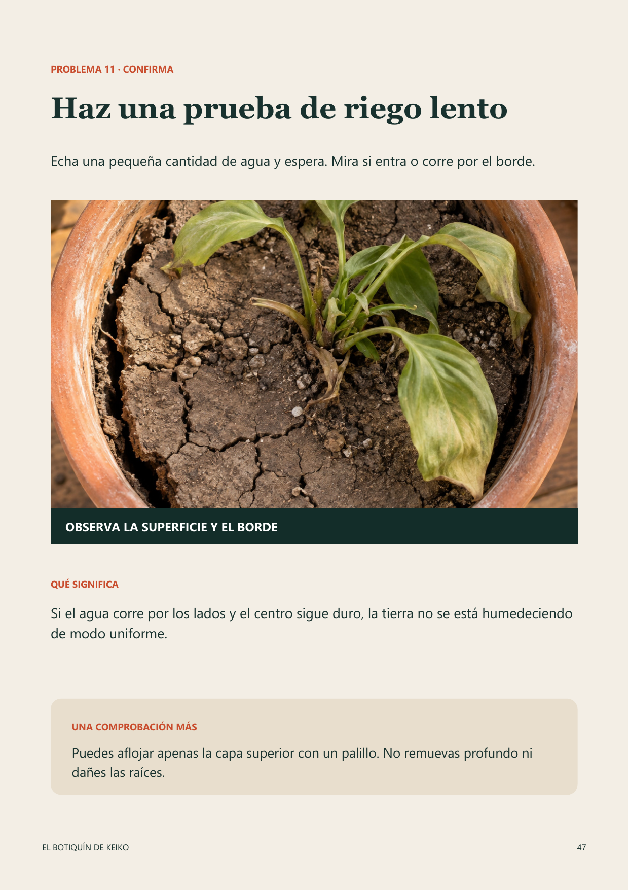 Página real de solución del ebook